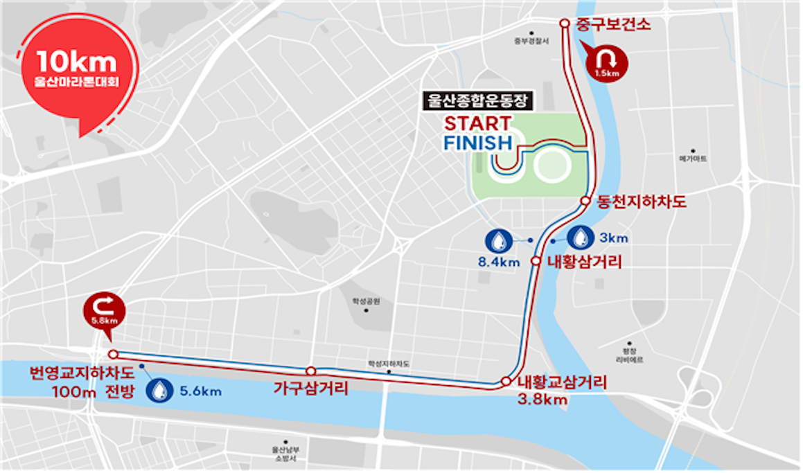 코스 배너