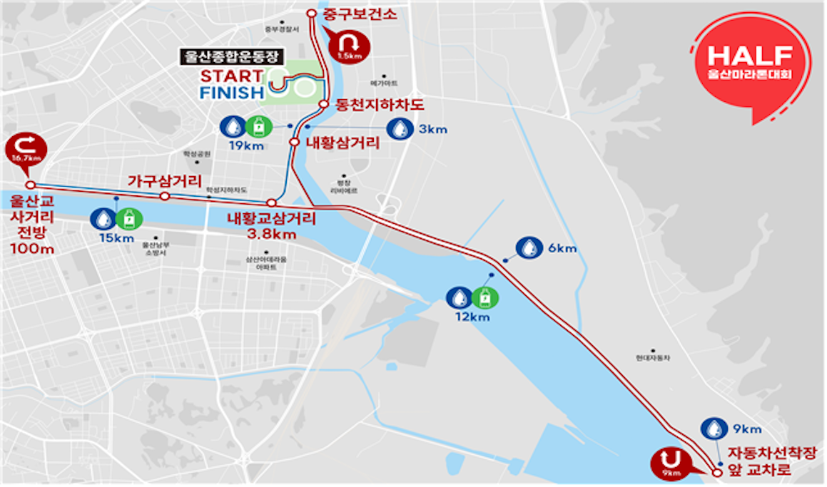 코스 배너